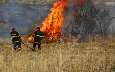 Заповед за пожароопасен сезон в земеделски територии и „восъчна зрялост“ при житни култури