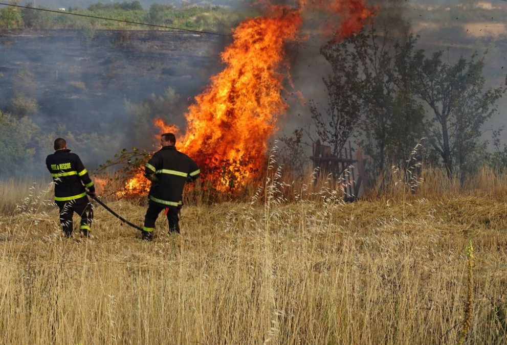Заповед за пожароопасен сезон в земеделски територии и „восъчна зрялост“ при житни култури