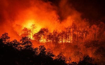 Заповед за обявяване на пожароопасен сезон в земеделските земи на територията на Община Велики Преслав