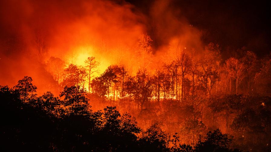 Заповед за обявяване на пожароопасен сезон в земеделските земи на територията на Община Велики Преслав