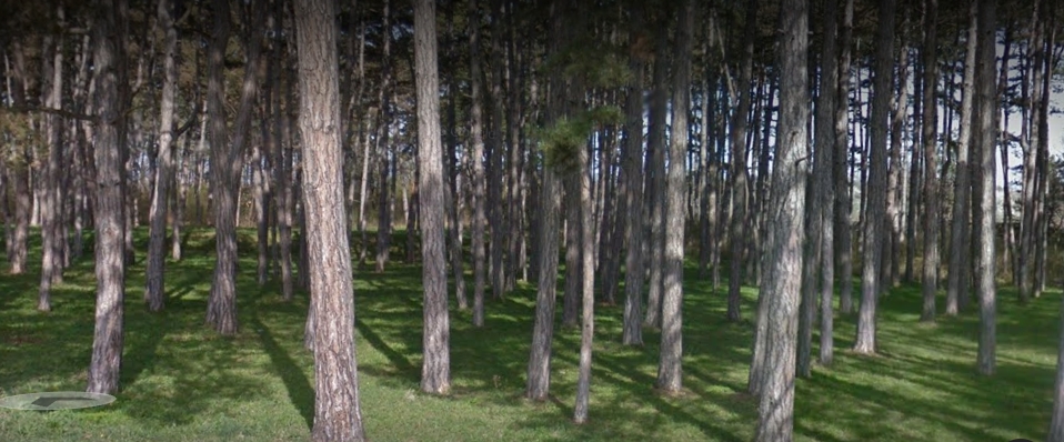 Третиране на зелени площи в района на Борова гора против кърлежи