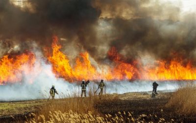 Заповед № РД-15-34/07.03.2023 г. на областния управител на област Шумен за обявяване на пожароопасен сезон за горските територии в областта