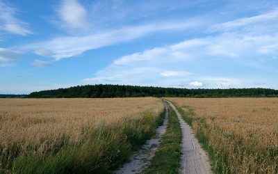 Заповеди на директора на Областна дирекция „Земеделие“ за определяне цени на имотите – полски пътища, включени в разпределените масиви за ползване на ползвателите за землищата на територията на Община Велики Преслав.