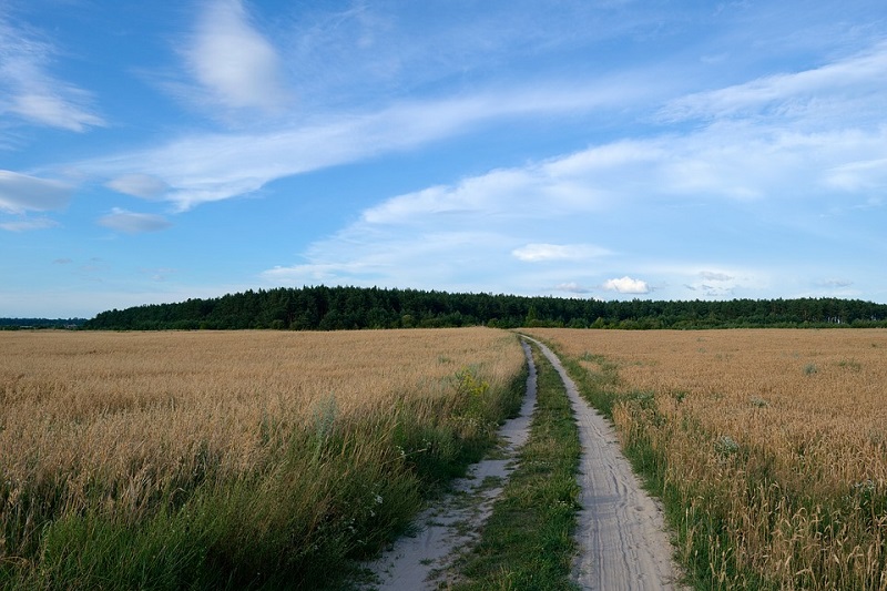 Заповеди на директора на Областна дирекция „Земеделие“ за определяне цени на имотите – полски пътища, включени в разпределените масиви за ползване на ползвателите за землищата на територията на Община Велики Преслав.